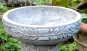 morepic-1